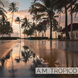 A.M. Tropico