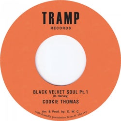 Black Velvet Soul