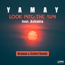 Look Into The Sun (Krumm & Schief Remix)