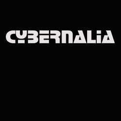 Cybernalia 2018 Chart