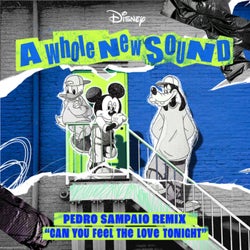 Can You Feel the Love Tonight (From "A Whole New Sound" | Pedro Sampaio Remix)