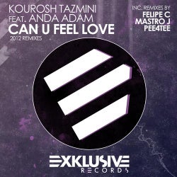 Can U Feel Love (2012 Remixes)
