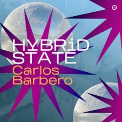 Hybrid State