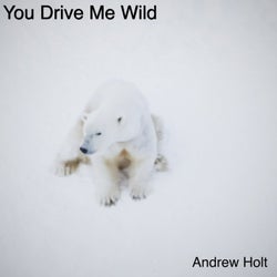 You Drive Me Wild