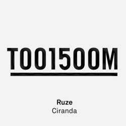 Ruze - Toolroom 15 Chart