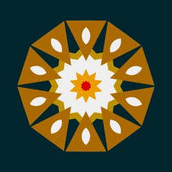 GRACE 5