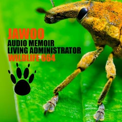 Audio Memoir & Living Administrator