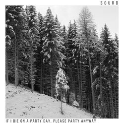 If I Die on a Party Day, Please Party Anyway