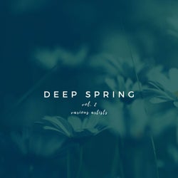 Deep Spring, Vol. 2