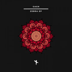 Zebra EP