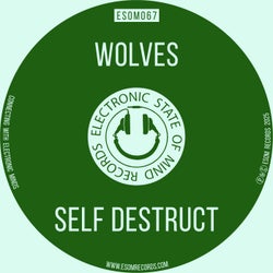 Self Destruct
