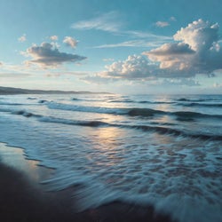 Distant Shore