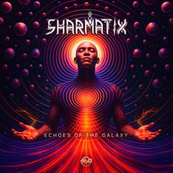 Echoes Of The Galaxy