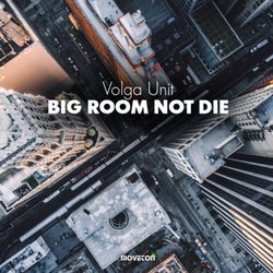 Big Room Not Die