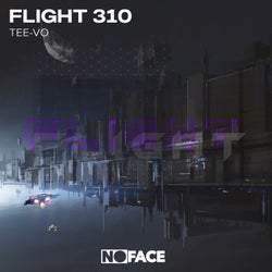 Flight 310
