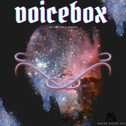 VOICEBOX