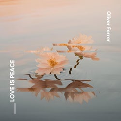 Love is Peace