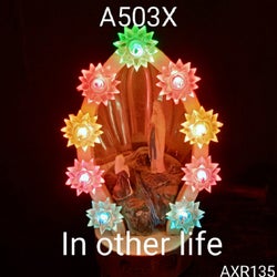 In other life