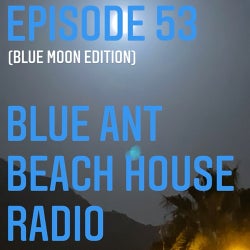 #53 BLUE ANT BEACH HOUSE RADIO (BLUE MOON)