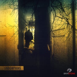 Endorphin (ft. Deep Silencio)