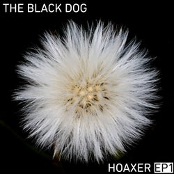 Hoaxer EP 1