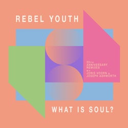 What Is Soul? (30 Yrs Anniversary Remixes)