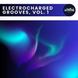 Electrocharged Grooves, Vol. 1