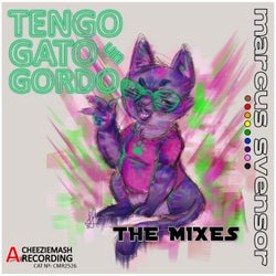 Tengo un Gato Gordo (The Mixes)