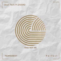 Perfect (feat. ZOORD)