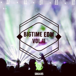 Bigtime EDM, Vol. 11