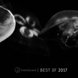 Translucent (Best of 2017)