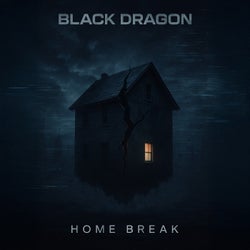 Home Break