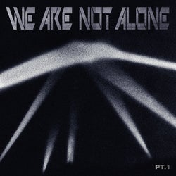 We Are Not Alone Pt. 1 (compiled by Ellen Allien)