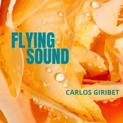 Flying Sound