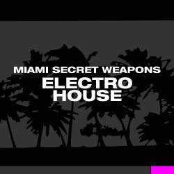 Miami Secret Weapons - Electro House