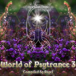 World Of Psytrance, Vol. 3