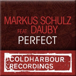 Perfect (Remixes)