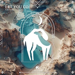 Let You Go