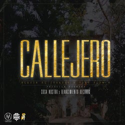 Callejero (feat. Tony Flow & Pricila Fuentes)