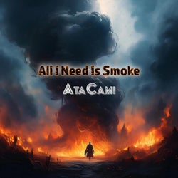 All I Need Is Smoke