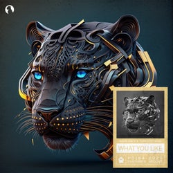 What You Like (Extended Mix)