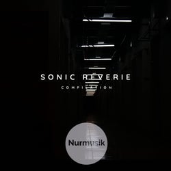 Sonic Reverie