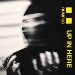 Hoesafbeelding voor Up In Here (Extended Mix)