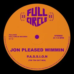 P.A.S.S.I.O.N (Extended Tin Tin Out Mix)