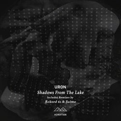 Shadows From The Lake