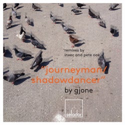 Journeyman / Shadowdancer