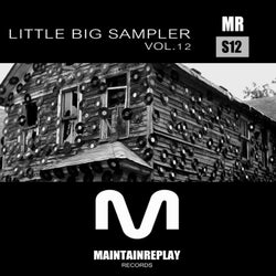 Little Big Sampler, Vol. 12