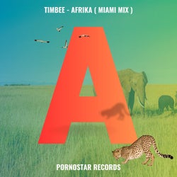 Afrika  (Cheesecake Boys Remix)