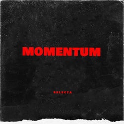 Momentum