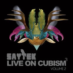 SAYTEK LIVE ON CUBISM VOLUME 2